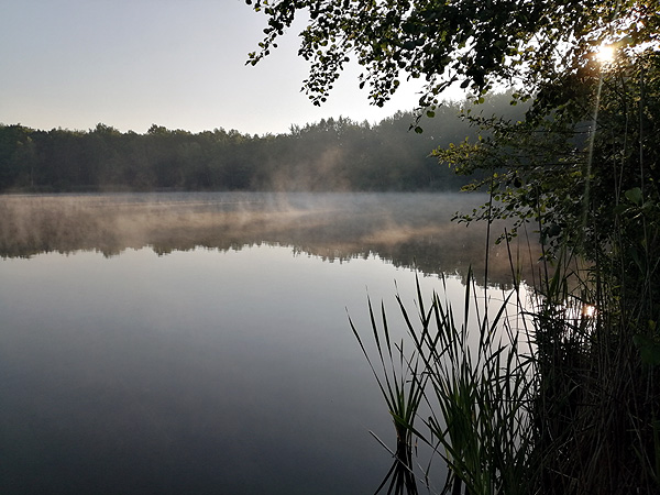 Szczygłowice nad zalewem